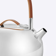 Bamboo and Silver Teakettle