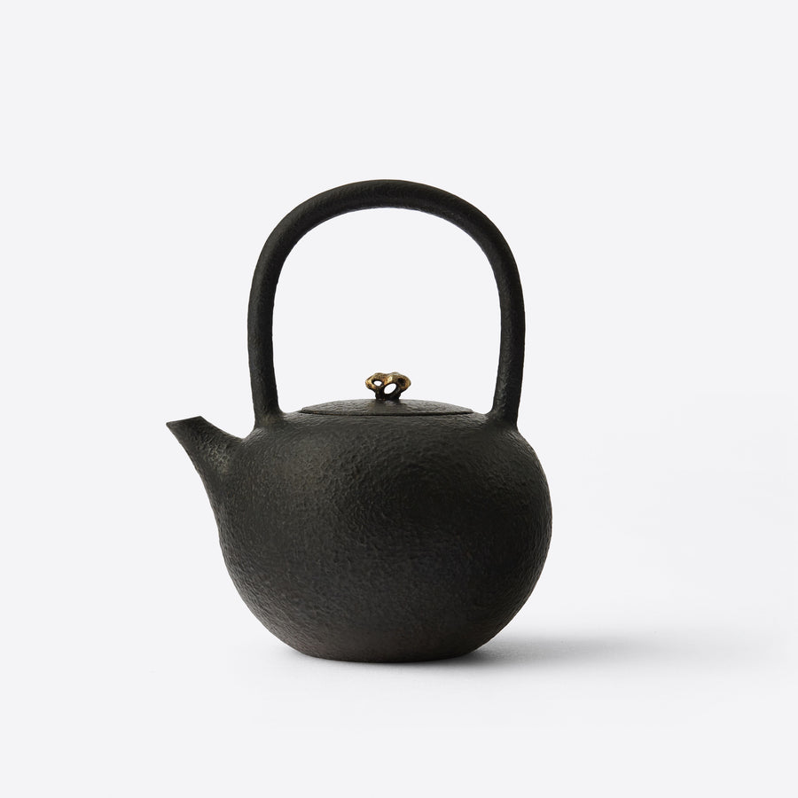 Garden Collection Cast Iron Teakettle
