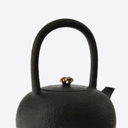 Garden Collection Cast Iron Teakettle
