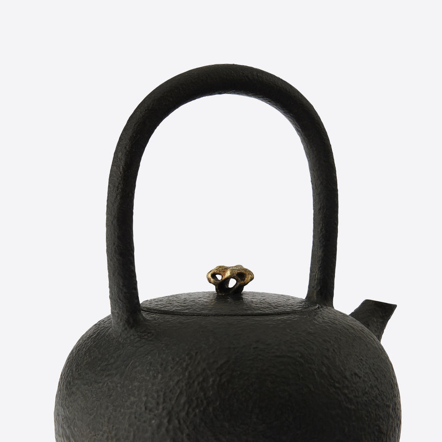 Garden Collection Cast Iron Teakettle