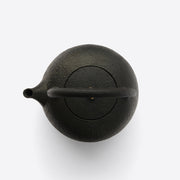 Garden Collection Cast Iron Teakettle