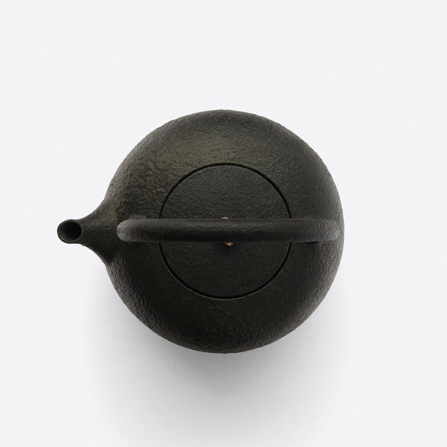 Garden Collection Cast Iron Teakettle