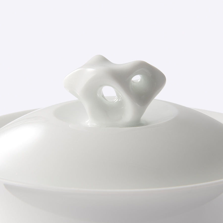 Garden Collection Porcelain and Inkstone Saucer Gaiwan Teacup Set